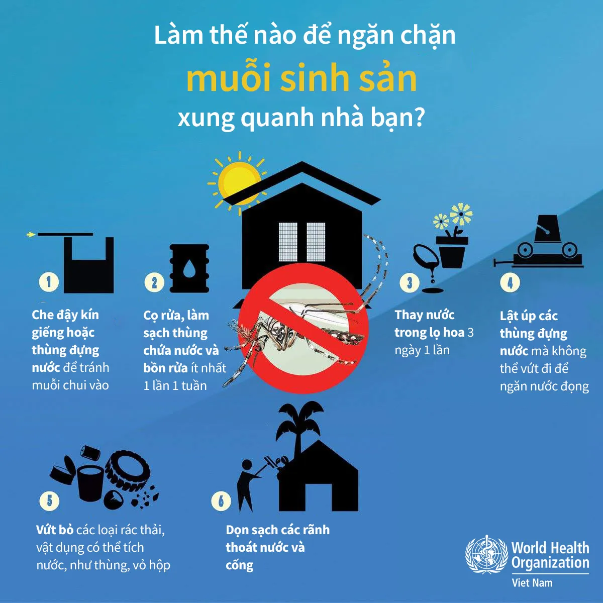 Làm thế nào để ngăn chặn muỗi sinh sản xung quanh nhà bạn? - Ảnh 1. Làm thế nào để ngăn chặn muỗi sinh sản xung quanh nhà bạn? - Ảnh 1.