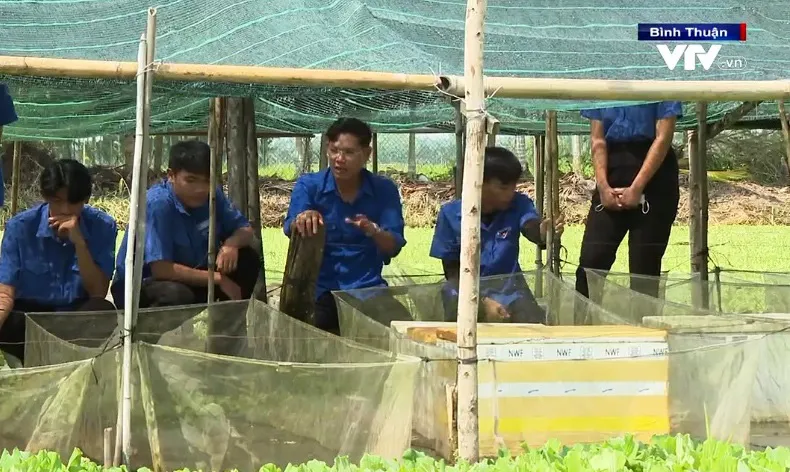 Chàng trai giúp hàng trăm người vượt khó từ mô hình nuôi ốc bươu đen - Ảnh 2.