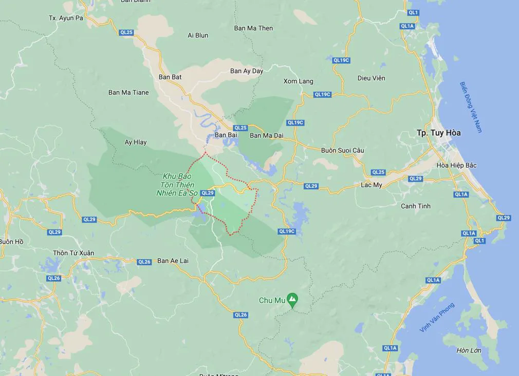 Sầu ri&ecirc;ng ngon nhất thế giới bất ngờ được trồng tại S&ocirc;ng Hinh - Ph&uacute; Y&ecirc;n - Ảnh 2.