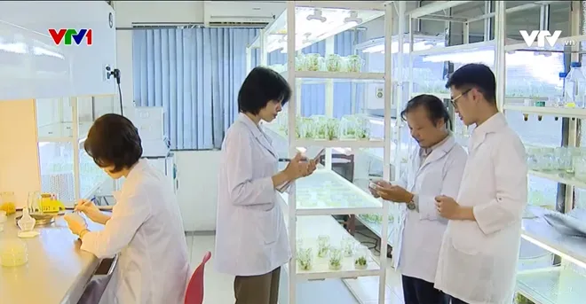 Vướng mắc trong ứng dụng kết quả nghiên cứu khoa học - Ảnh 1.