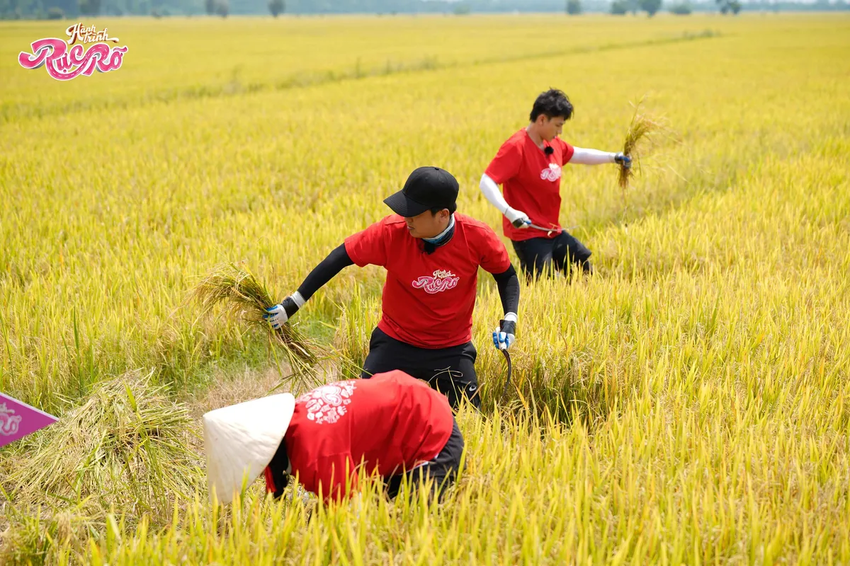 Hành trình rực rỡ: Lê Dương Bảo Lâm khuyên Trường Giang nghỉ hưu - Ảnh 2.