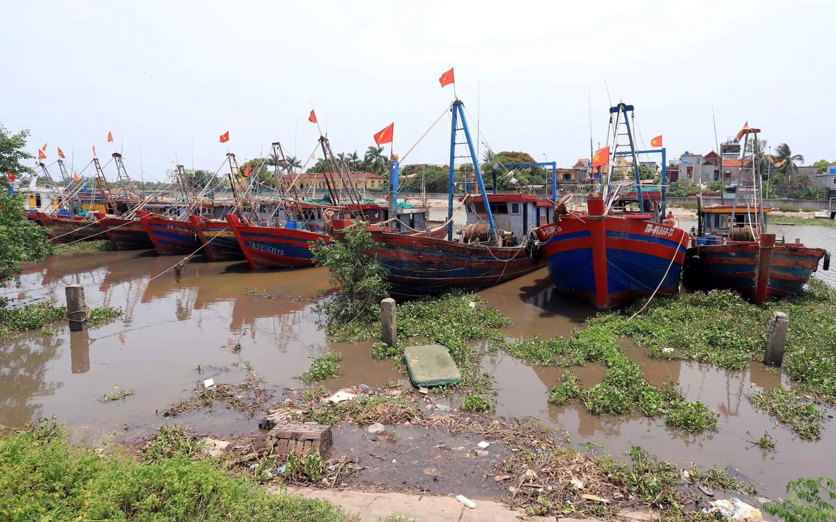 Bão số 1 di chuyển khá nhanh, đêm nay (17/7) đi vào Vịnh Bắc Bộ - Ảnh 4.