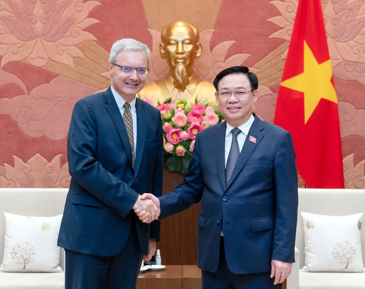 Chủ tịch Quốc hội Vương Đình Huệ tiếp Đại sứ Pháp Nicolas Warnery - Ảnh 1.