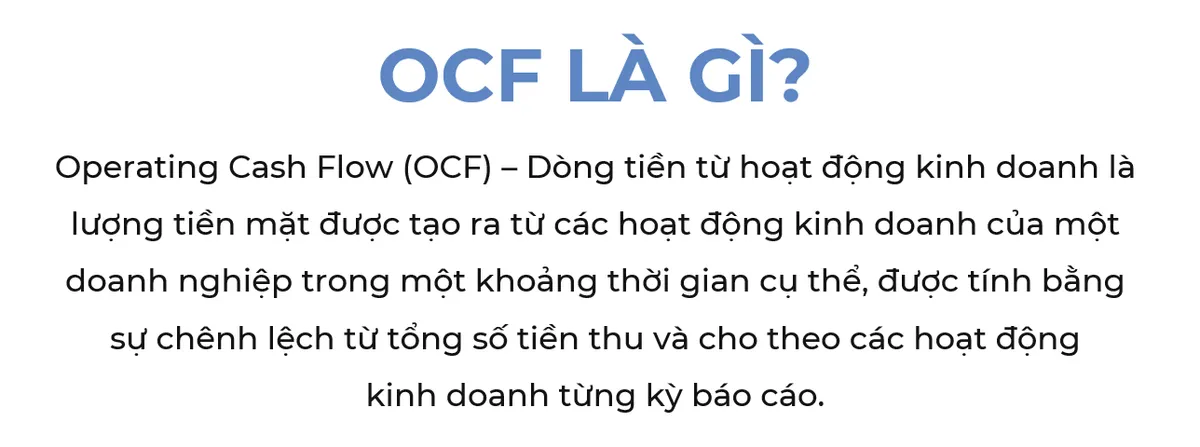 Giải đáp chất lượng lợi nhuận qua phân tích các chỉ số tài chính của Vinamilk - Ảnh 1.