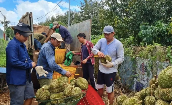 Doanh nghiệp Việt tìm cách chinh phục thị trường Trung Quốc - Ảnh 1.