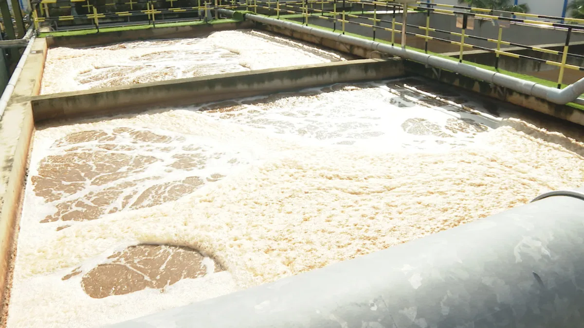 B&agrave; Rịa - Vũng T&agrave;u: Nh&agrave; m&aacute;y xử l&yacute; nước thải thiếu&hellip; nước thải để vận h&agrave;nh - Ảnh 2.