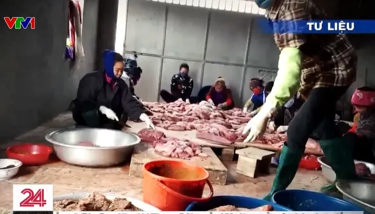 Vĩnh Phúc: Xử phạt cơ sở buôn bán lợn chết ở mức cao nhất - Ảnh 1.