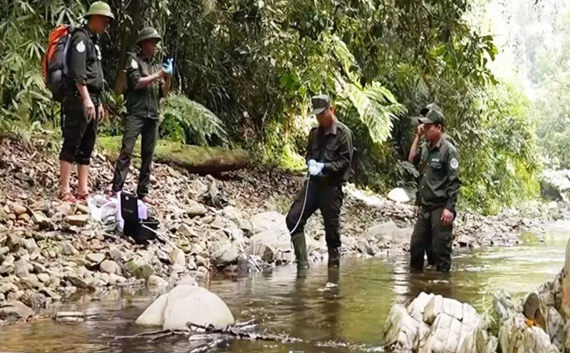 Cứu Sao La v&agrave; c&aacute;c lo&agrave;i qu&yacute; hiếm - Ảnh 1.