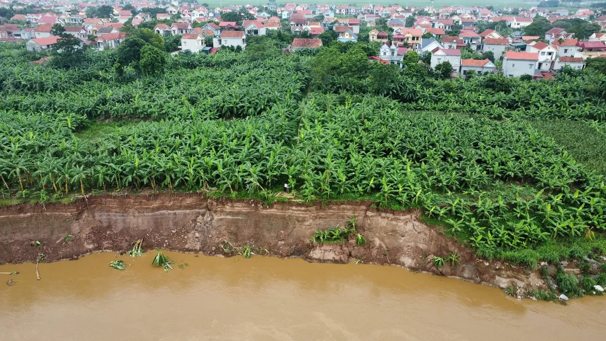 Sạt lở nghiêm trọng bờ sông Thao - Ảnh 1.