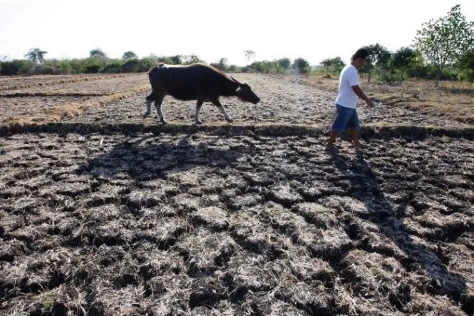 Trên 90% khả năng El Nino tiếp diễn vào mùa đông này - Ảnh 1.