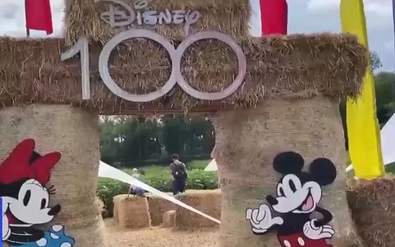 Mê cung khổng lồ chủ đề chuột Mickey - Ảnh 1.