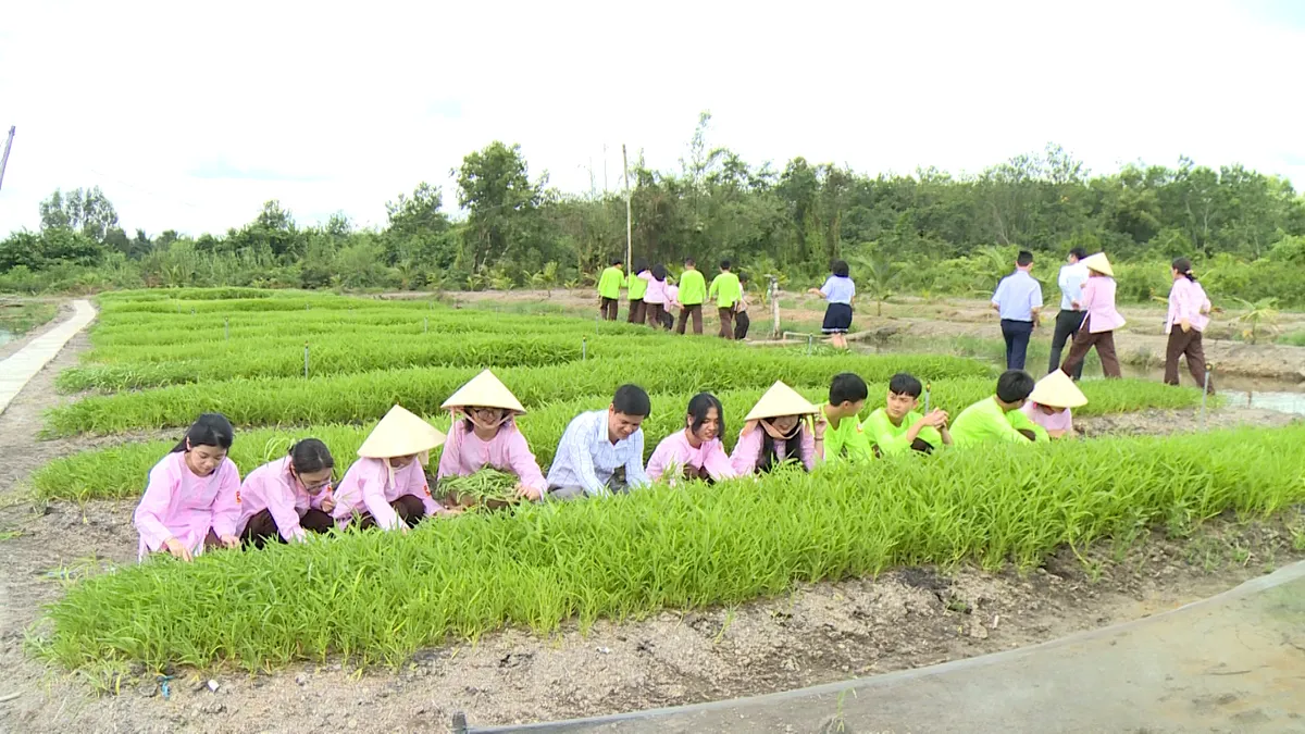 TP. Hồ Chí Minh sẵn sàng bước vào năm học mới - Ảnh 5.