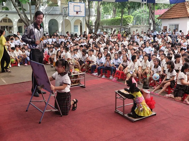 TP. Hồ Chí Minh sẵn sàng bước vào năm học mới - Ảnh 3.