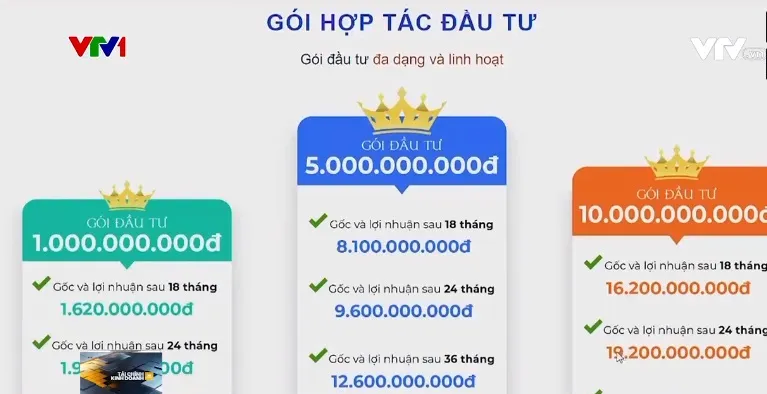 Chiêu trò mở pháp nhân mới để tiếp tục huy động vốn của Công ty Bất động sản Nhật Nam - Ảnh 3.