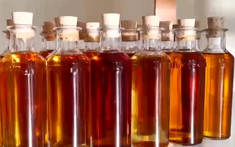 Thăm vùng sản xuất rượu Cognac nổi tiếng thế giới ở Pháp - Ảnh 2.