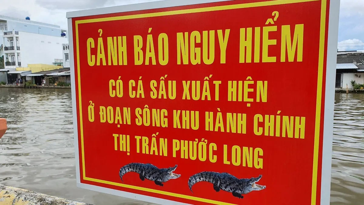 Bạc Liêu: Bắt được cá sấu 14kg sau 2 ngày vây bắt - Ảnh 3.