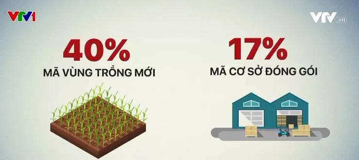 Sẽ áp dụng biện pháp mạnh để quản lý mã vùng trồng, cơ sở đóng gói - Ảnh 1. Sẽ áp dụng biện pháp mạnh để quản lý mã vùng trồng, cơ sở đóng gói - Ảnh 1.