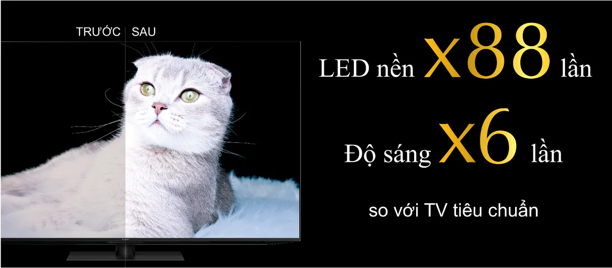 Sharp ra mắt TV AQUOS XLED cao cấp tại Việt Nam - Ảnh 2.