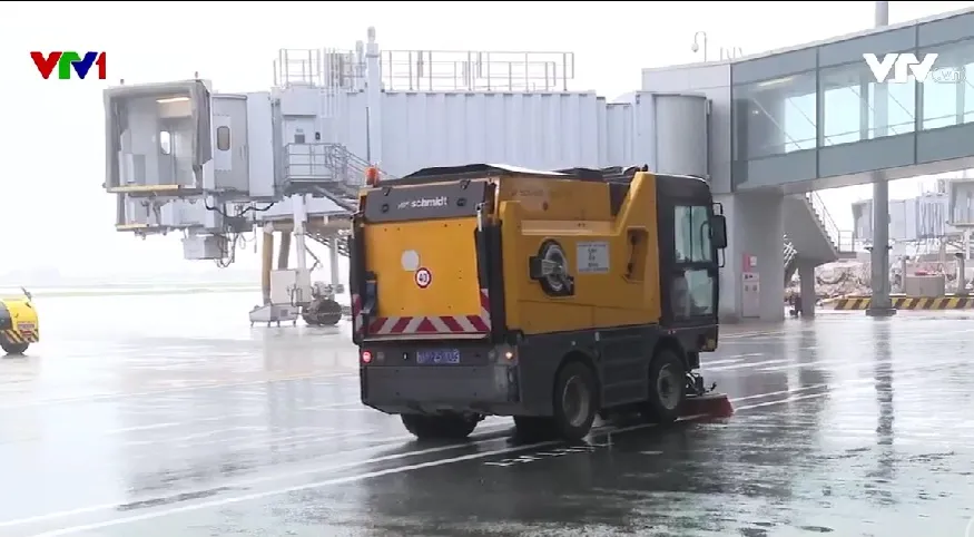 Sân bay Nội Bài kiểm soát vật ngoại lai gây nguy hiểm cho máy bay - Ảnh 1.