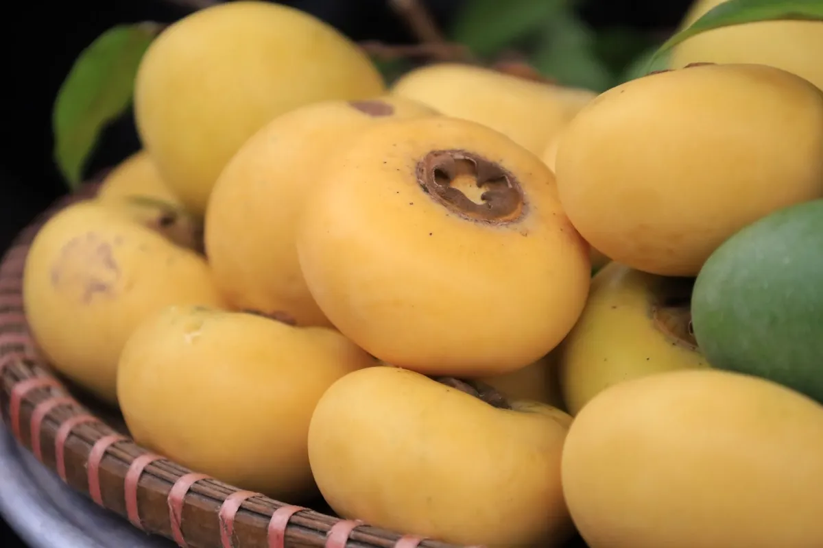 &ldquo;Thị c&ocirc; Tấm&rdquo; c&oacute; gi&aacute; đắt đỏ nhưng vẫn được nhiều người d&acirc;n H&agrave; th&agrave;nh săn l&ugrave;ng t&igrave;m mua - Ảnh 3.