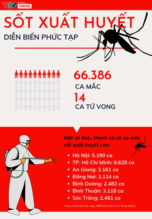 Sốt xuất huyết diễn biến phức tạp - Vì sao khó dập dịch? - Ảnh 1. Sốt xuất huyết diễn biến phức tạp - Vì sao khó dập dịch? - Ảnh 1.