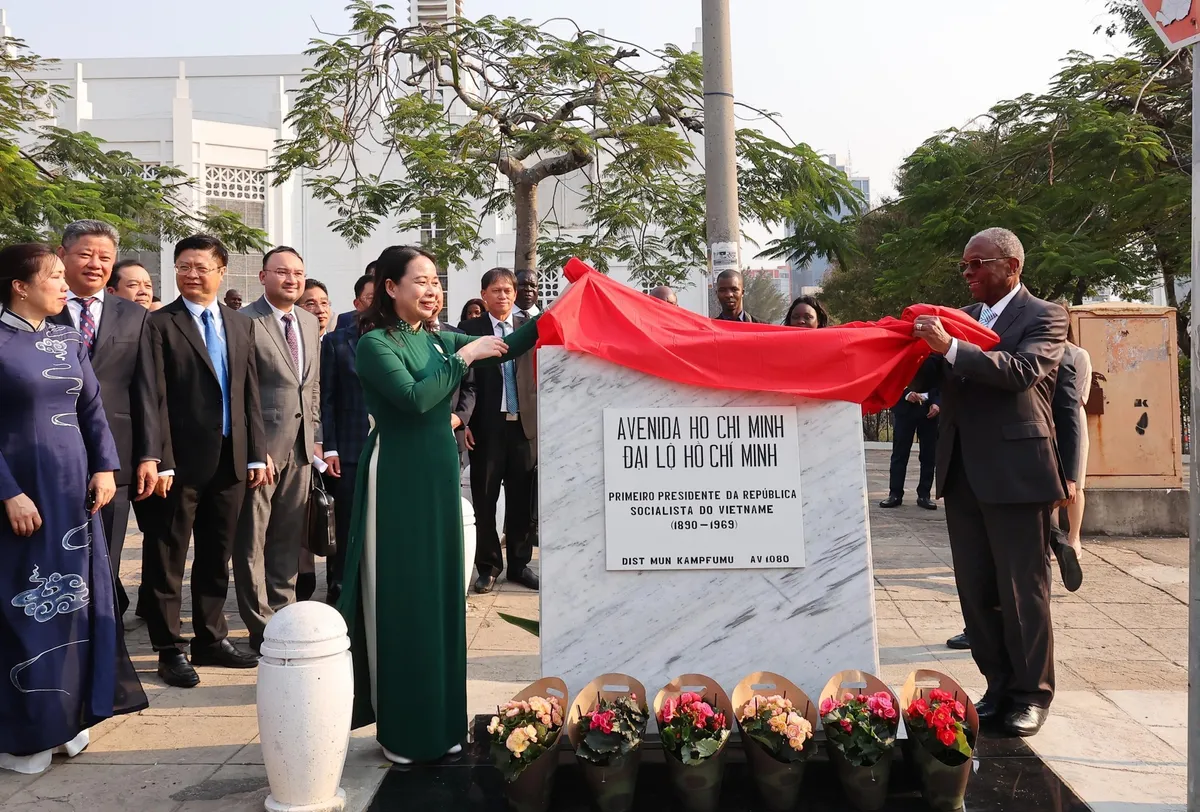 Tăng cường hợp tác Việt Nam - Mozambique - Ảnh 3.