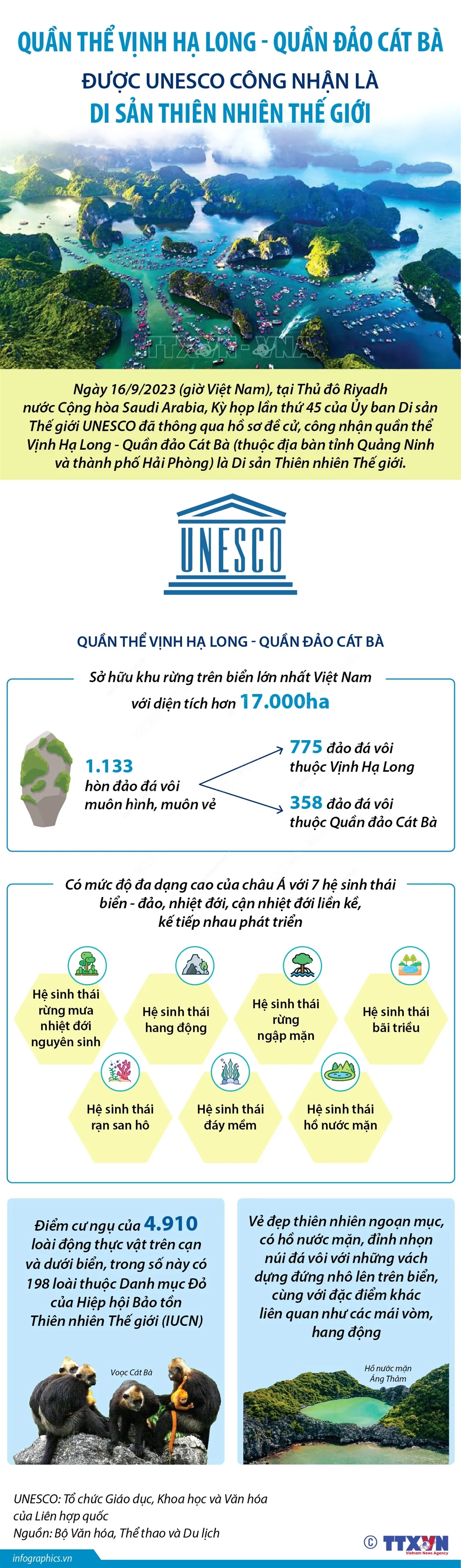 Trách nhiệm lớn hơn đối với Việt Nam trong bảo tồn và phát huy giá trị của di sản - Ảnh 2. Trách nhiệm lớn hơn đối với Việt Nam trong bảo tồn và phát huy giá trị của di sản - Ảnh 2.