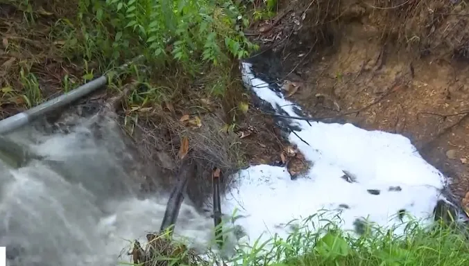 H&agrave;ng trăm hộ d&acirc;n khốn khổ v&igrave; trại lợn g&acirc;y &ocirc; nhiễm - Ảnh 1.