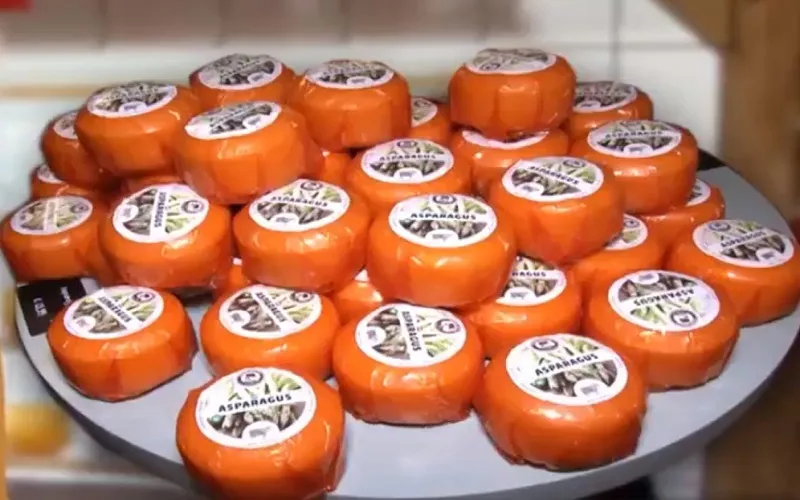 Gouda - một trong những loại pho mát lâu đời nhất thế giới - Ảnh 1.