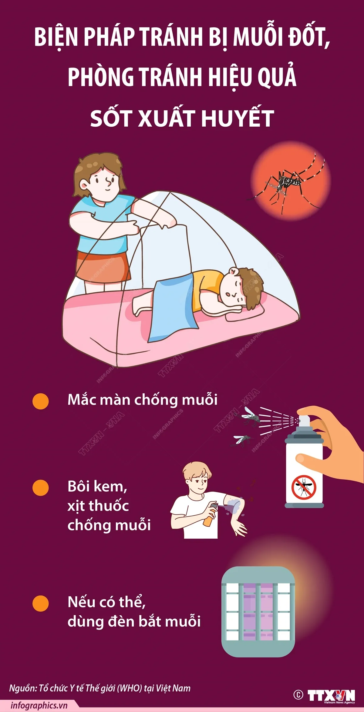 Cách phòng chống muỗi đốt, sốt xuất huyết hiệu quả - Ảnh 2.