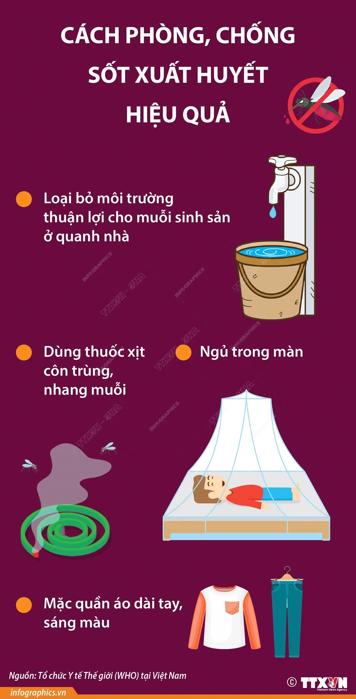 Cách phòng chống muỗi đốt, sốt xuất huyết hiệu quả - Ảnh 1.