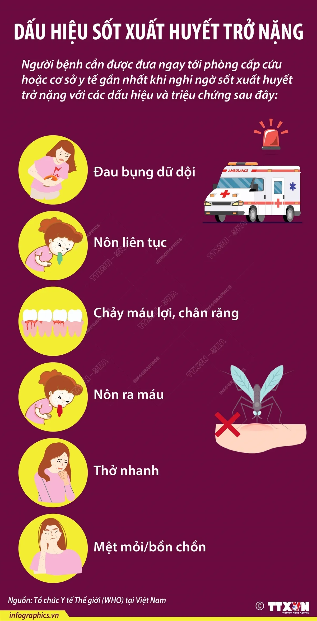 Cách phòng chống muỗi đốt, sốt xuất huyết hiệu quả - Ảnh 5.