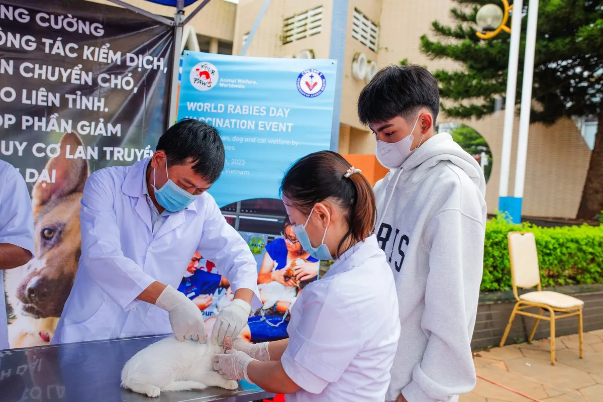 Gia Lai: Tiêm phòng bệnh dại miễn phí cho chó, mèo - Ảnh 2.