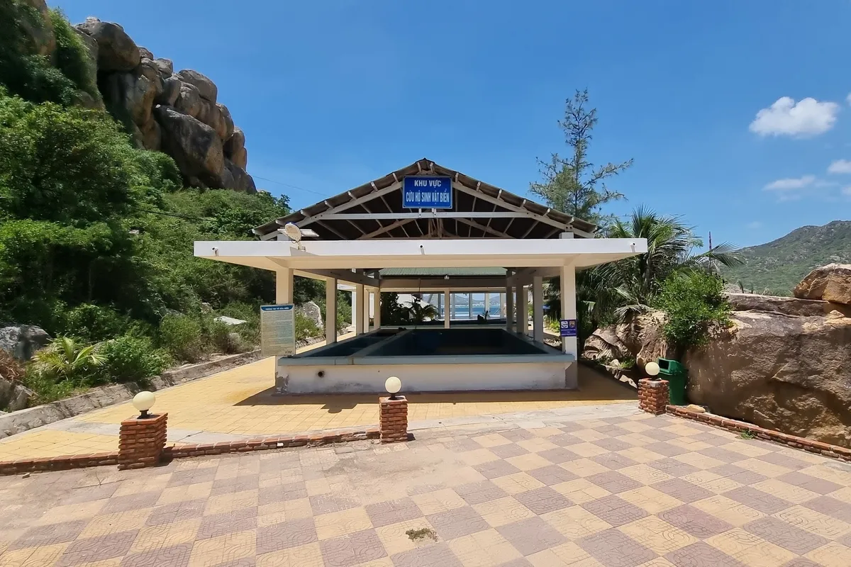 Ninh Thuận: Phát triển và bảo tồn đa dạng sinh học - Ảnh 2.