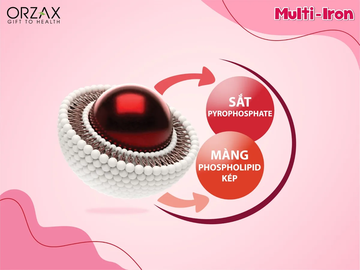 Sắt Lipofer® - Công nghệ mới phòng ngừa thiếu máu thiếu sắt cho bé - Ảnh 2.