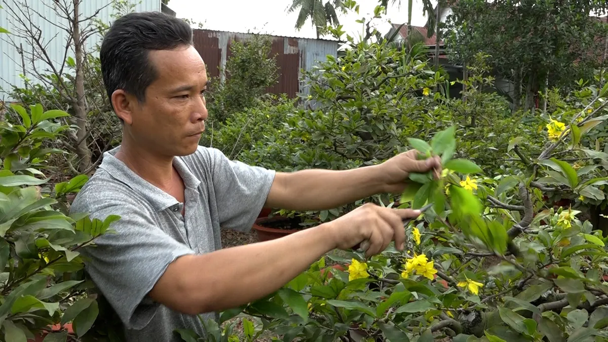 Nhà vườn tất bật chăm hoa Tết, trăn trở vì chưa thấy người mua - Ảnh 5.