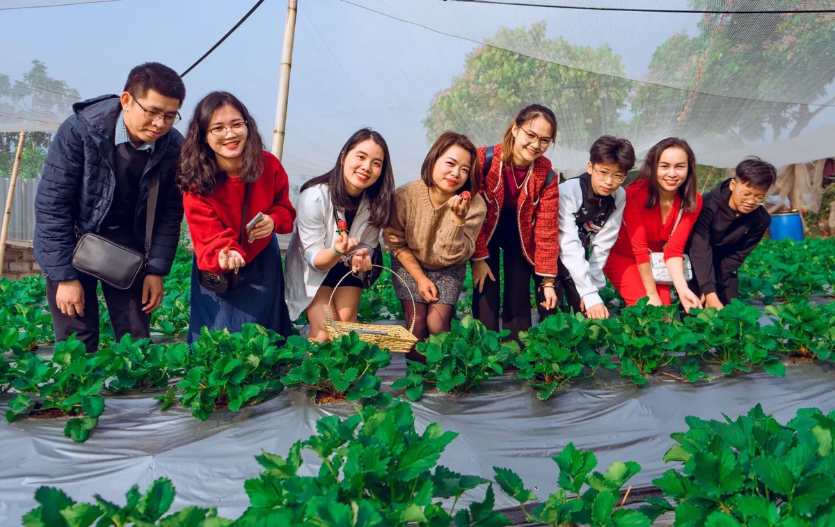 Tour du xuân ngắn ngày cận Tết hút khách - Ảnh 1.