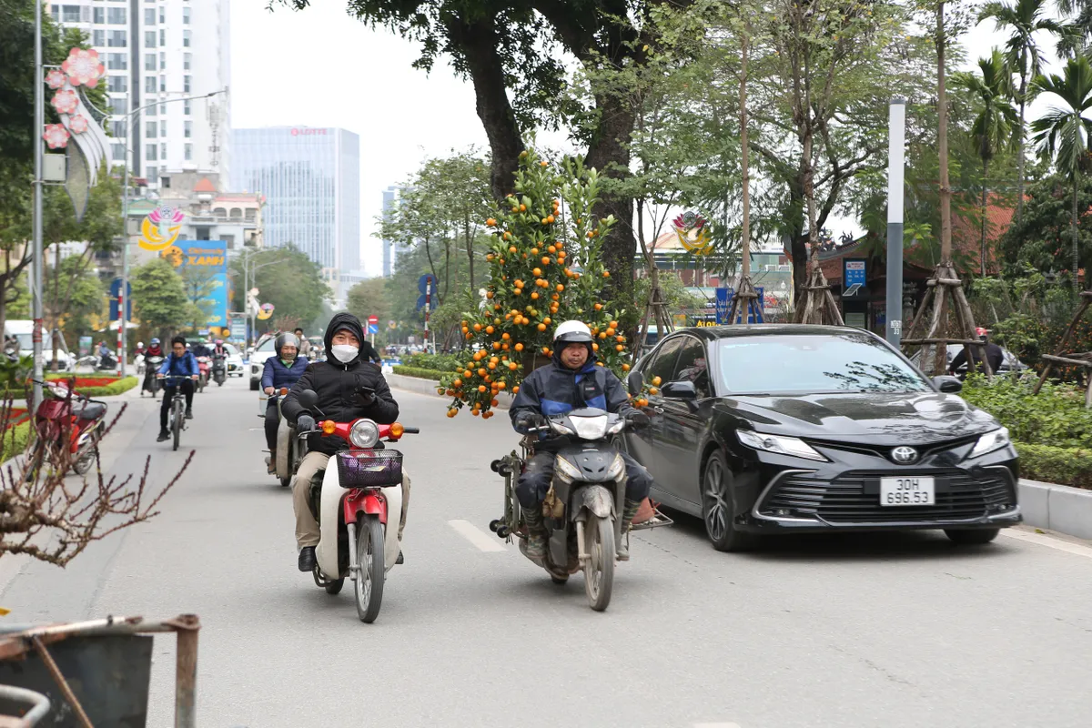 Nghề chở cây cảnh những ngày giáp Tết - Ảnh 8.