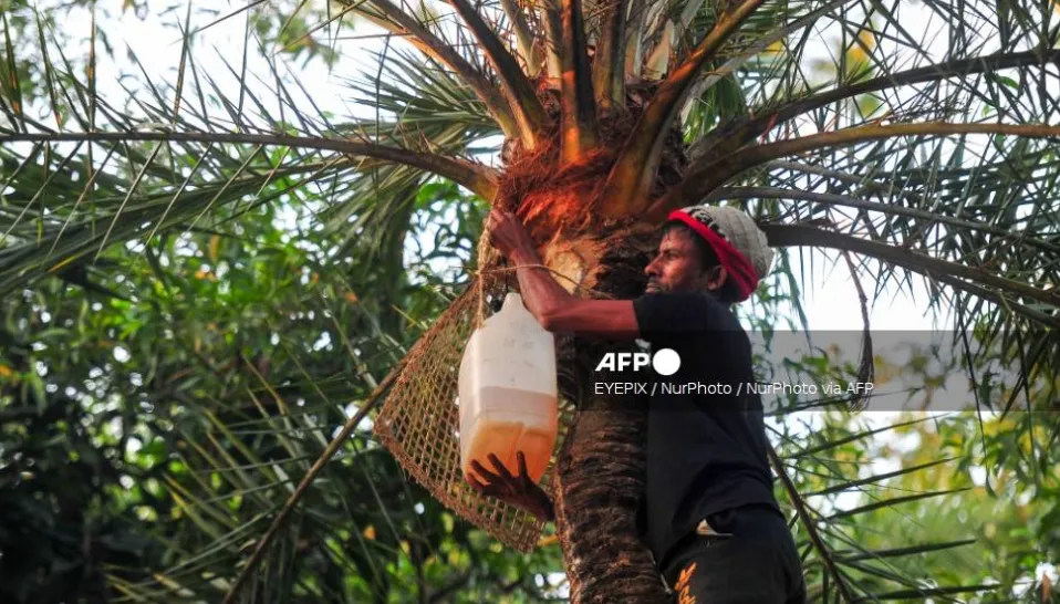 Bangladesh báo cáo ca tử vong đầu tiên do virus Nipah trong năm nay - Ảnh 1.