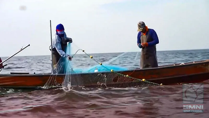 Th&aacute;i Lan hạn chế đ&aacute;nh bắt c&aacute; thương mại ở vịnh Th&aacute;i Lan từ 15/2 - Ảnh 1.