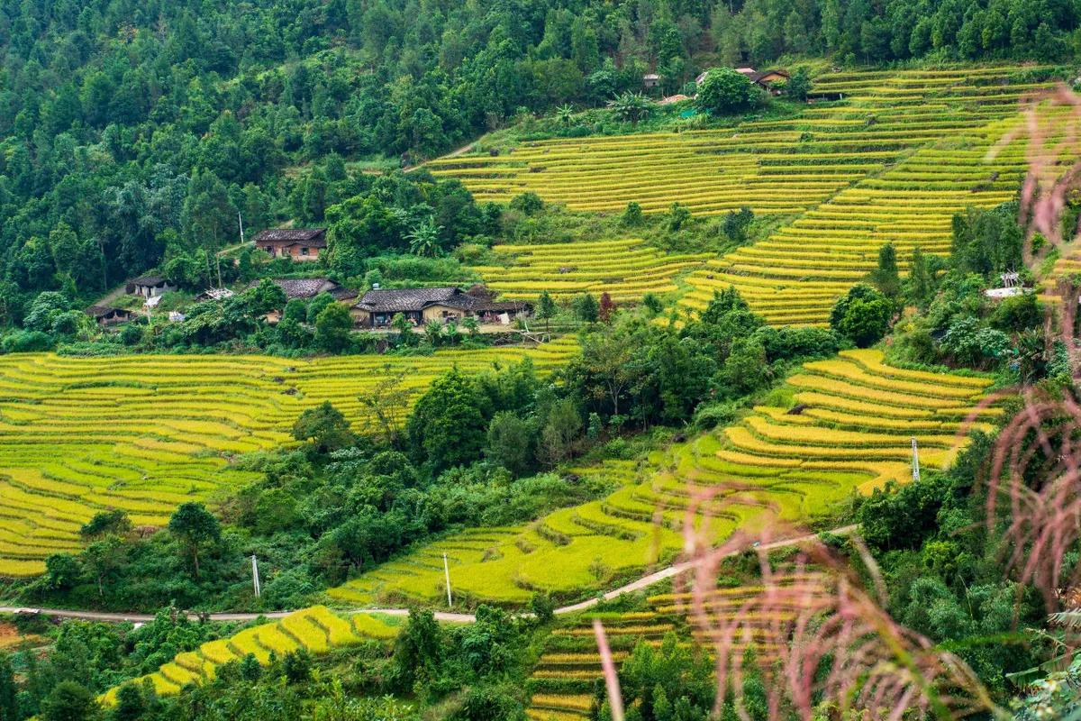 Bình Liêu – Đến là yêu - Ảnh 2.