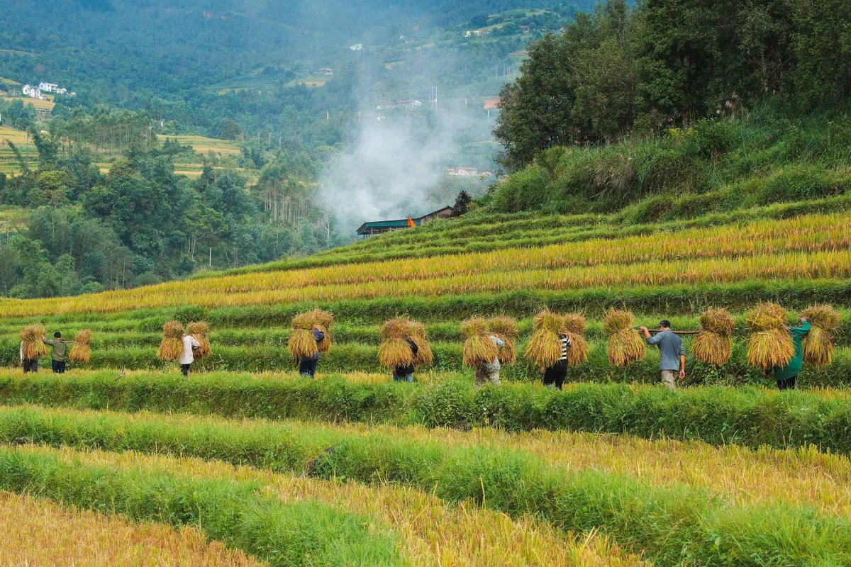 Bình Liêu – Đến là yêu - Ảnh 3.