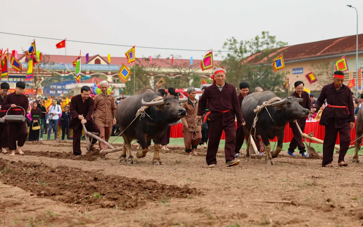 Tưng bừng khai hội Tịch điền Đọi Sơn Xuân Giáp Thìn 2024 - Ảnh 5.