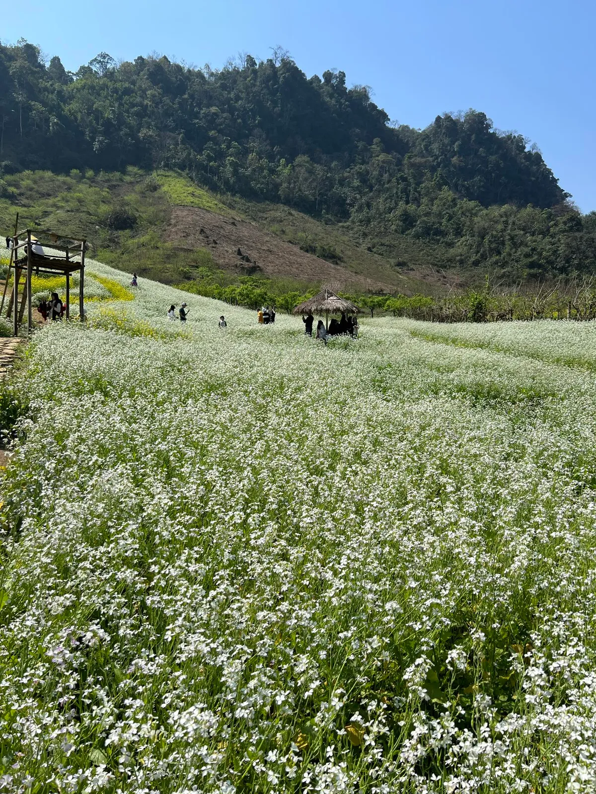 “Bỏ túi” những điểm đến hấp dẫn đầu năm bạn không nên bỏ lỡ - Ảnh 1.