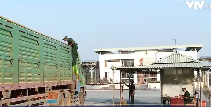 Tăng cường ngăn chặn nhập lậu động vật qua biên giới - Ảnh 1.