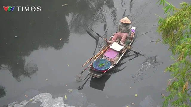 Cá chép chưa kịp đưa ông Táo về trời đã chầu trời - Ảnh 4.