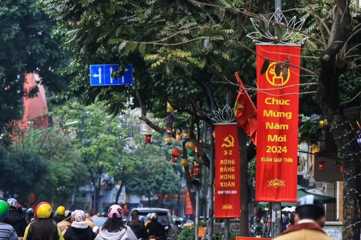 Hà Nội trang hoàng rực rỡ cờ hoa đón chào năm mới - Ảnh 3.