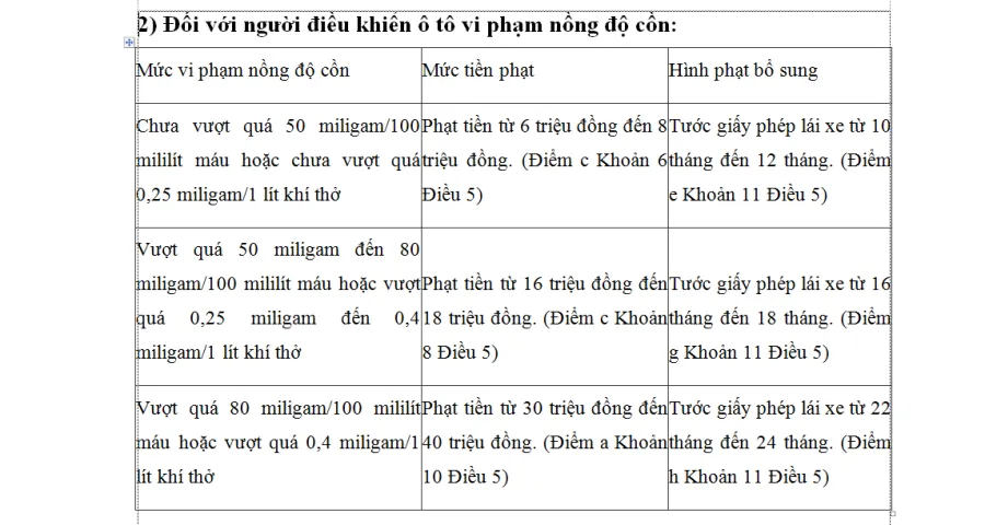 Đi xe đạp vi phạm nồng độ cồn bị xử phạt như thế nào? - Ảnh 2.