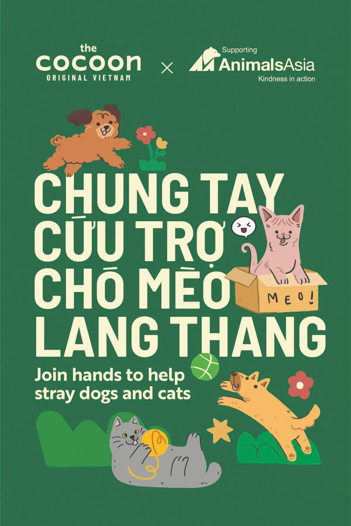 Cứu trợ chó mèo lang thang cùng Cocoon & Tổ chức động vật Châu Á - Ảnh 2.