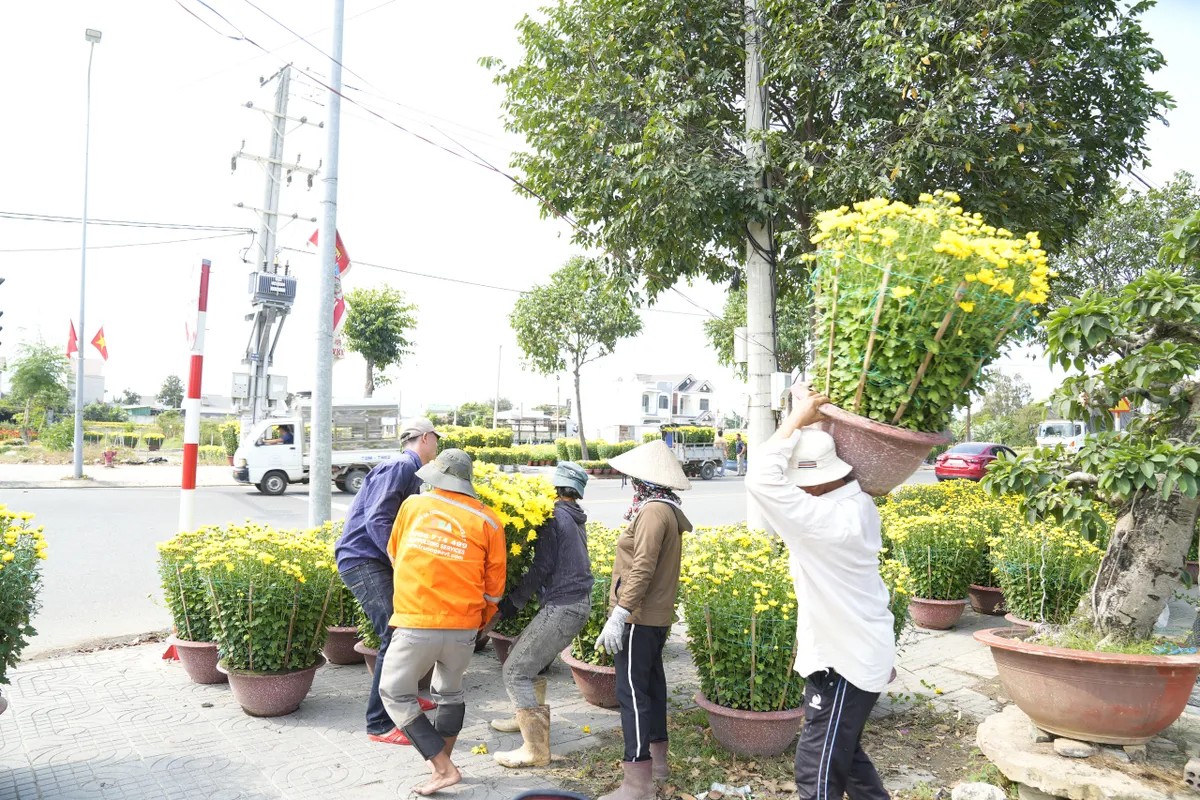 Bà Rịa - Vũng Tàu: Nhà vườn tất bật thu hoạch hoa bán Tết - Ảnh 11.